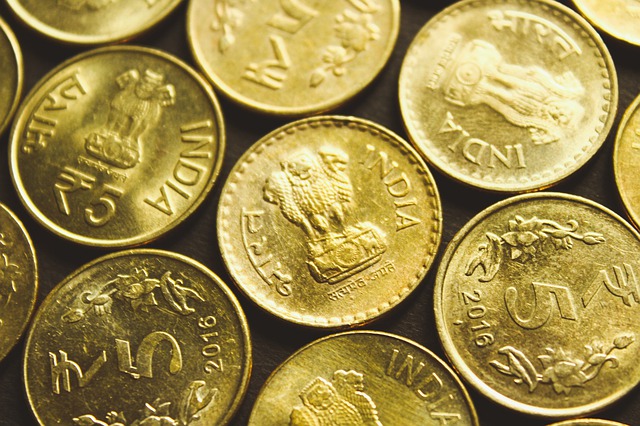 zlaté indické mince, detail